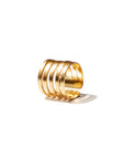 Parker ring