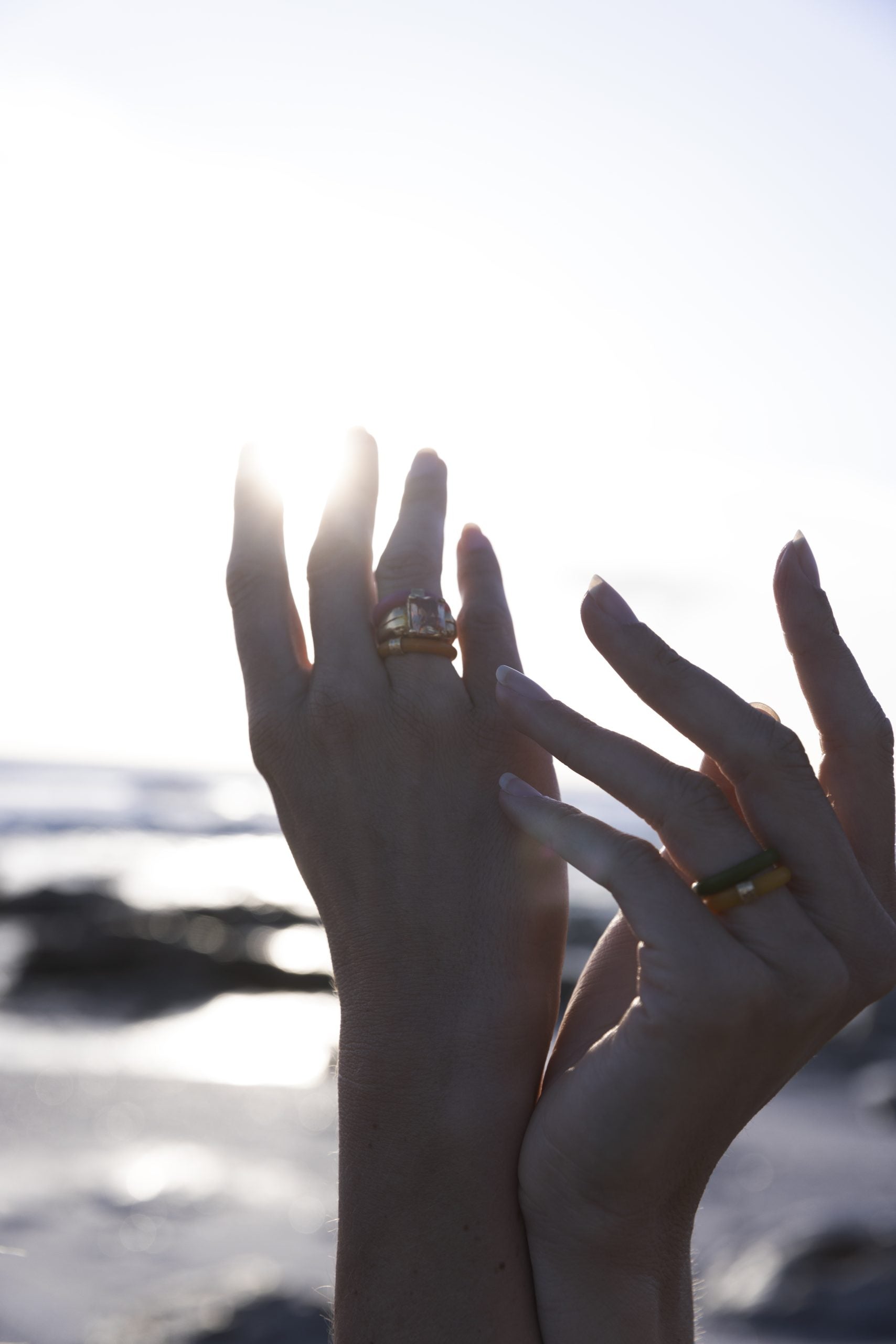 Skylar rings