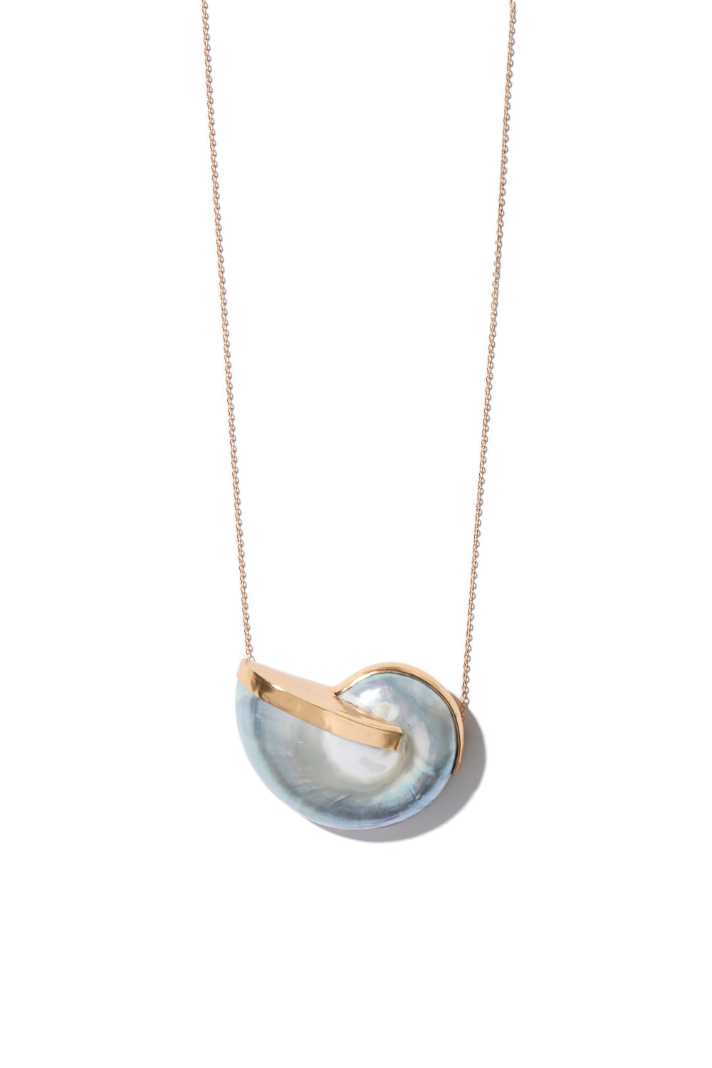 Petit spiral shell blue necklace