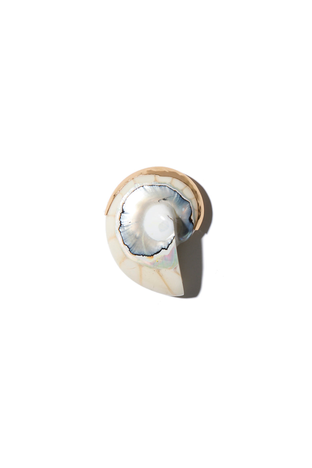 Grand spiral shell pendant beige