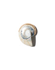 Grand spiral shell pendant beige