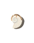 Grand spiral shell pendant beige