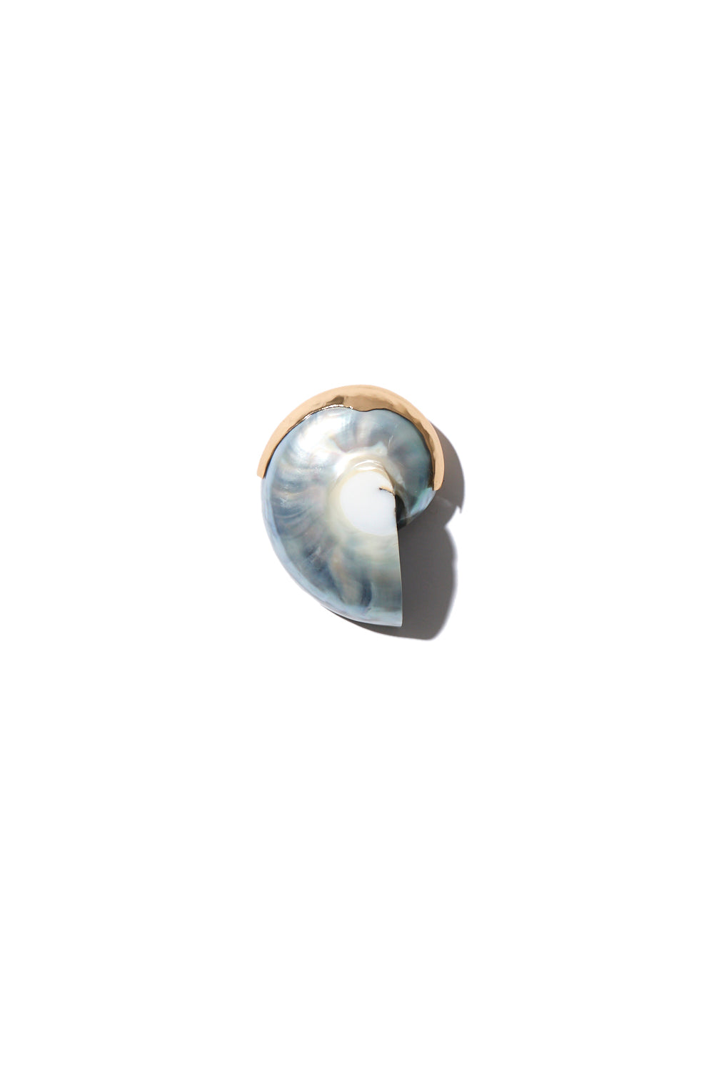 Petit spiral shell pendant blue